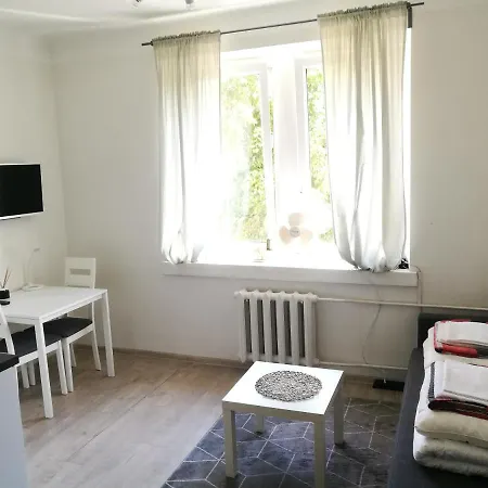 Town Apartment Vilnius