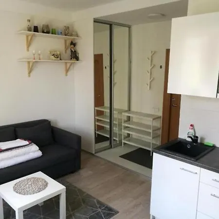 Apartamento Vilnius Budget Apartment *